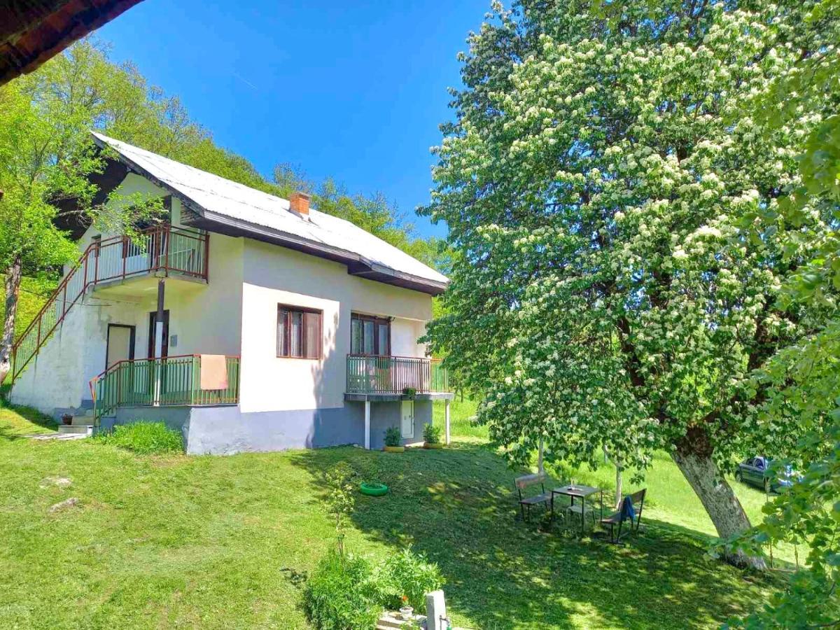 Etno Kuca Milidrag Villa ฟอชา ภายนอก รูปภาพ