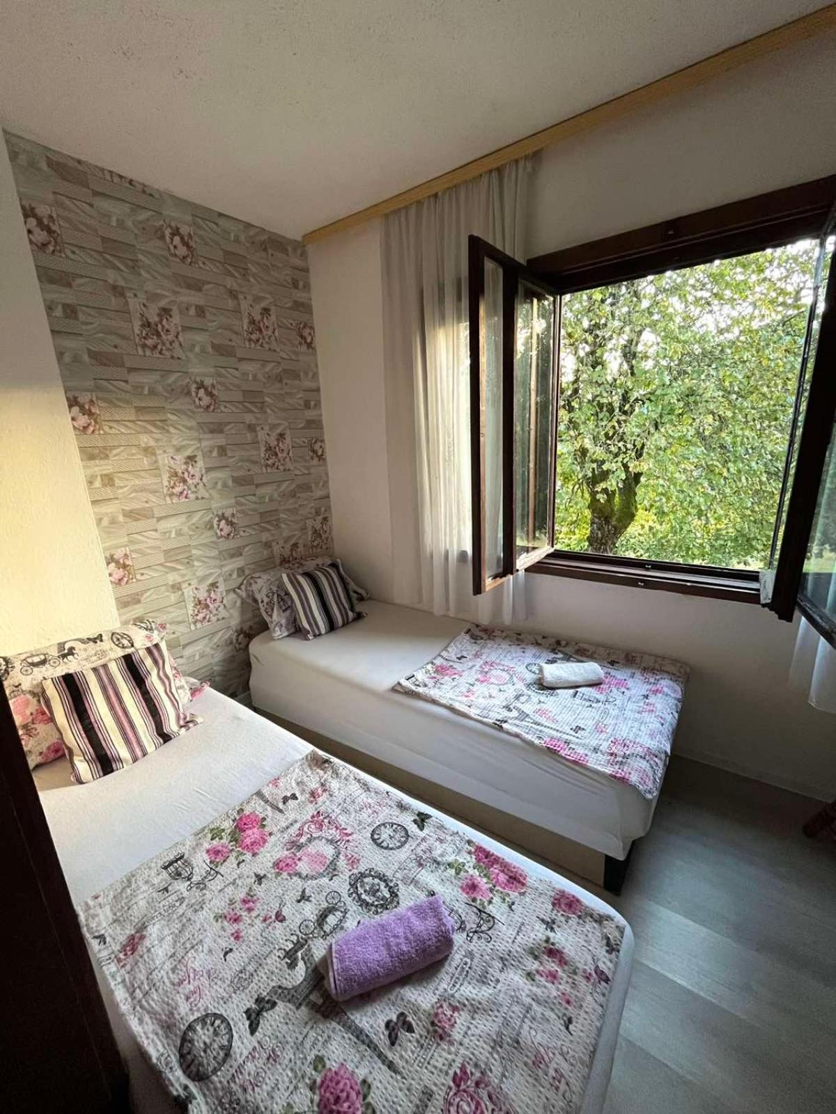 Etno Kuca Milidrag Villa ฟอชา ภายนอก รูปภาพ